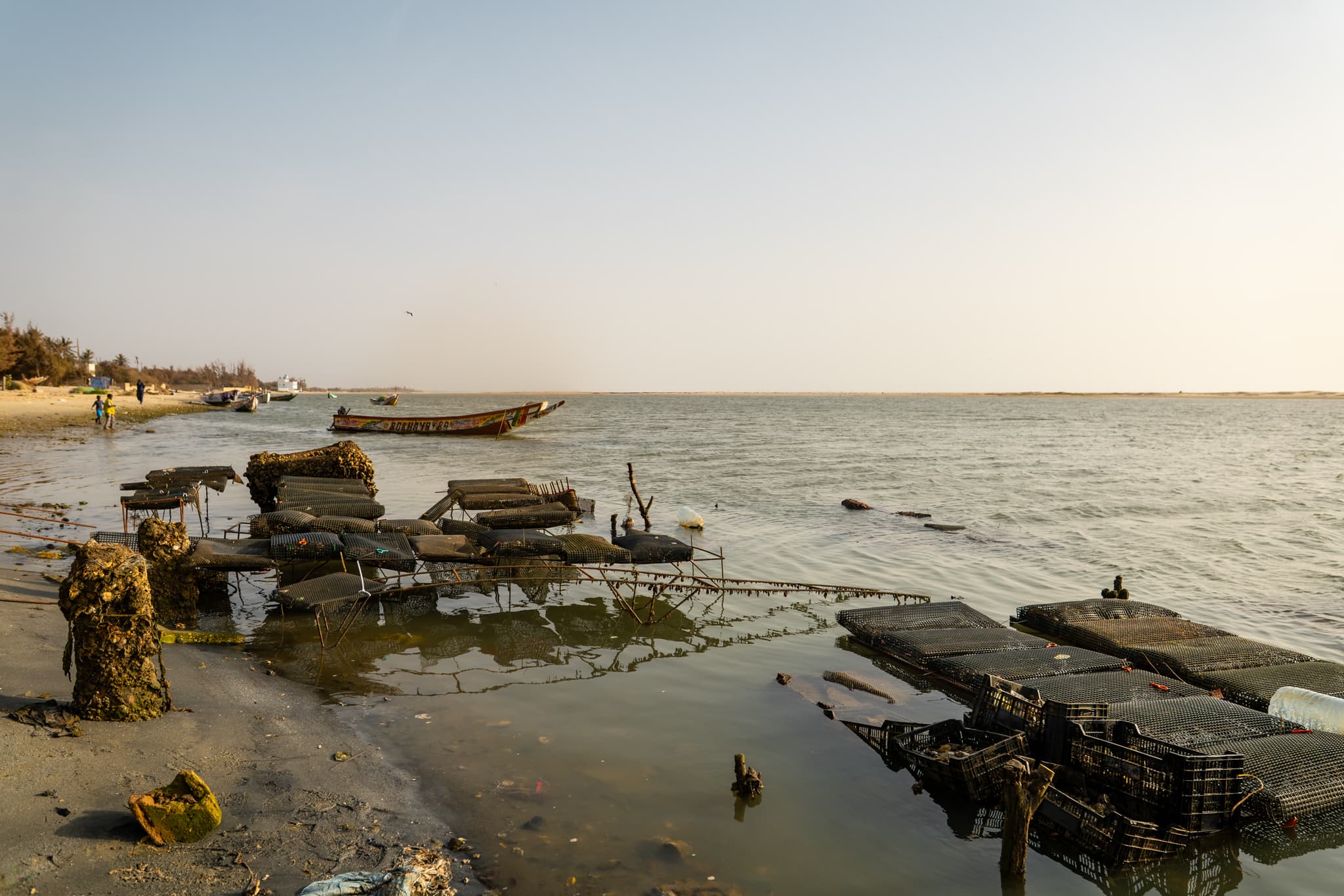 Photo de terrain, programme FISH4ACP