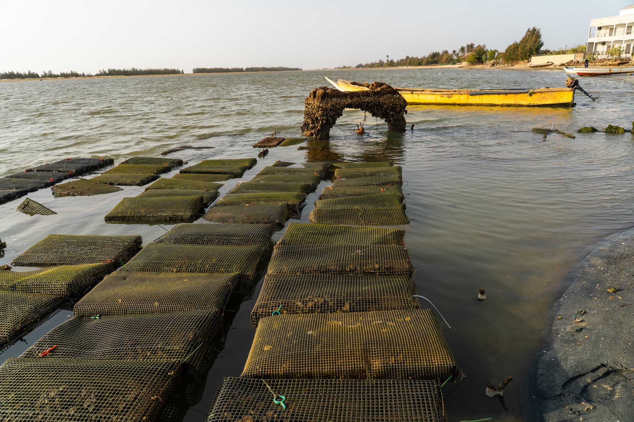 Photo de terrain, programme FISH4ACP