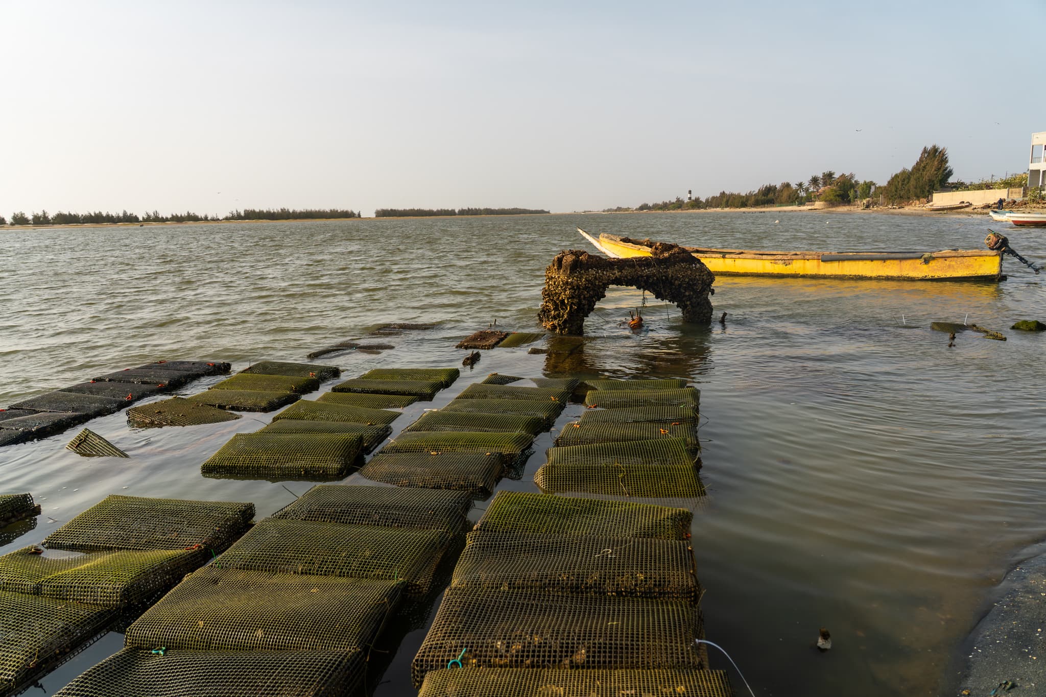 Photo de terrain, programme FISH4ACP