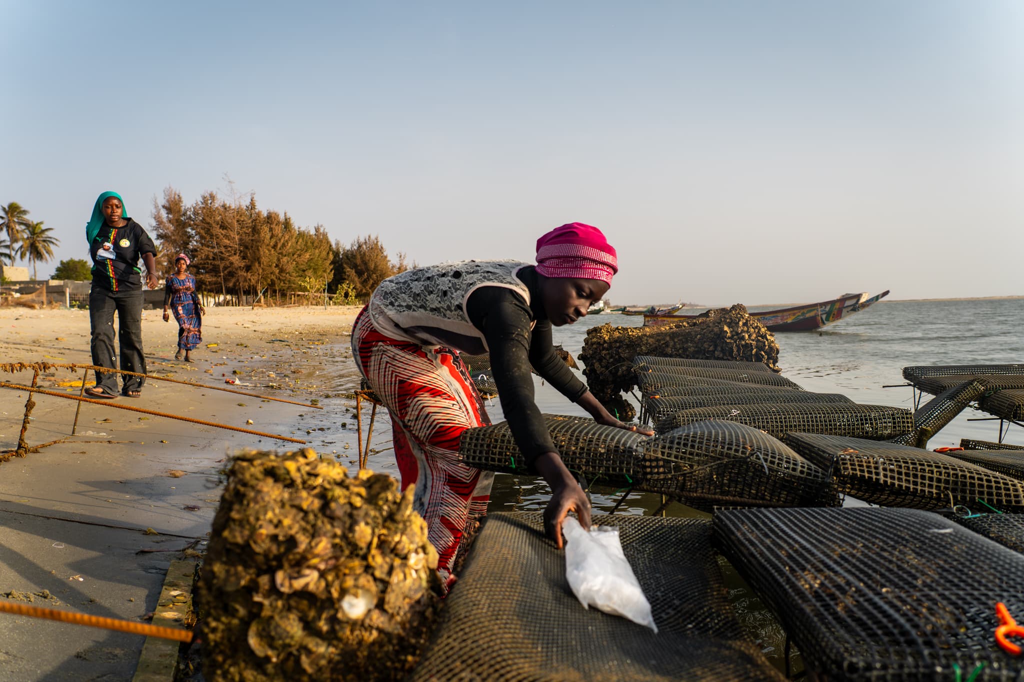 Photo de terrain, programme FISH4ACP