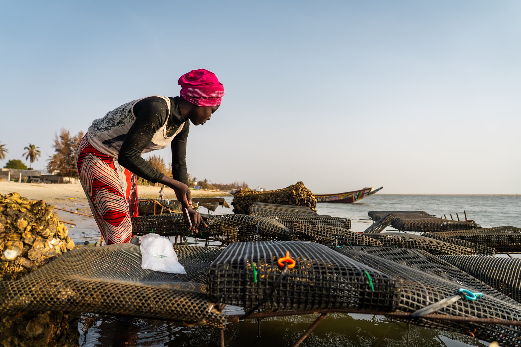 Photo de terrain, programme FISH4ACP