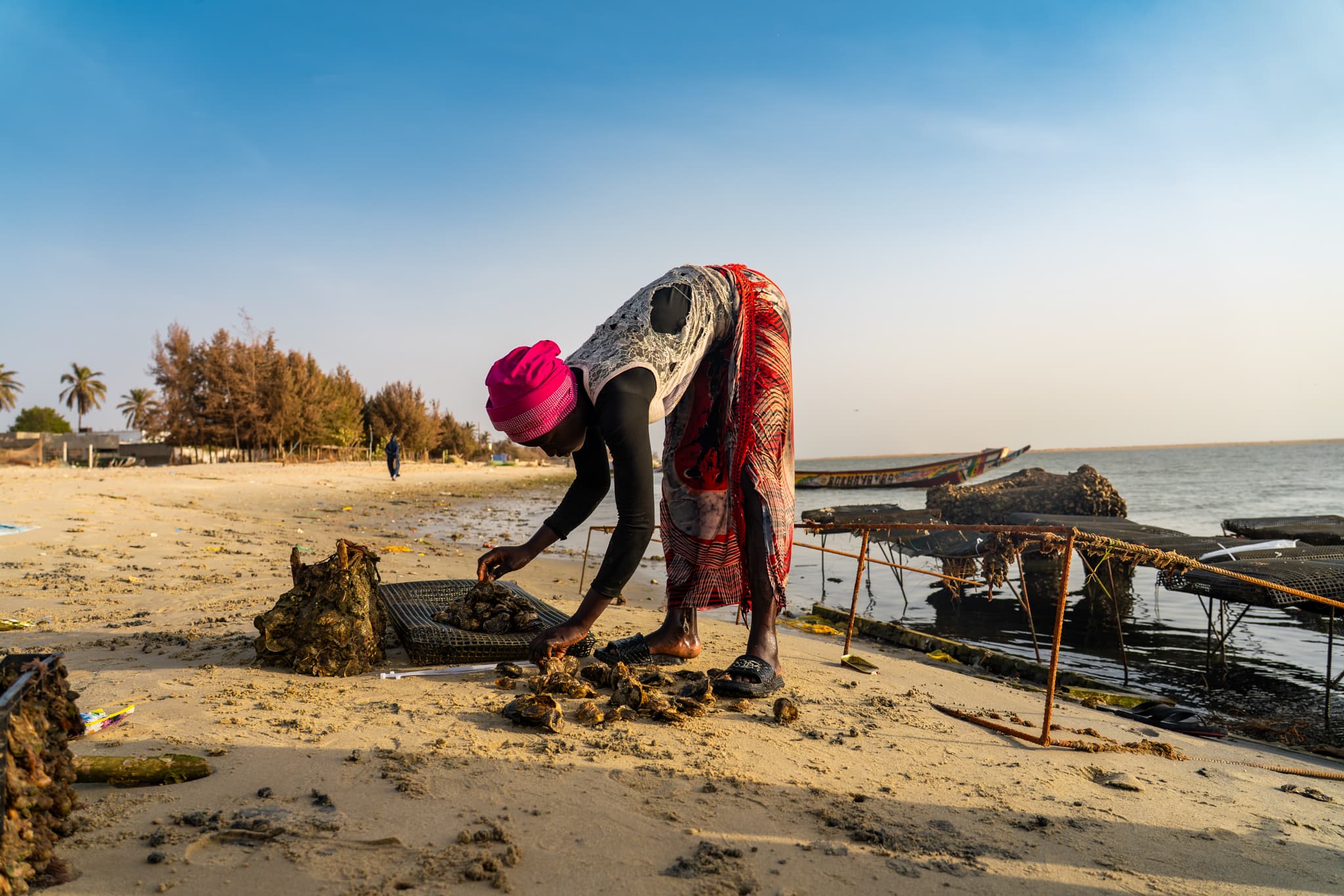 Photo de terrain, programme FISH4ACP