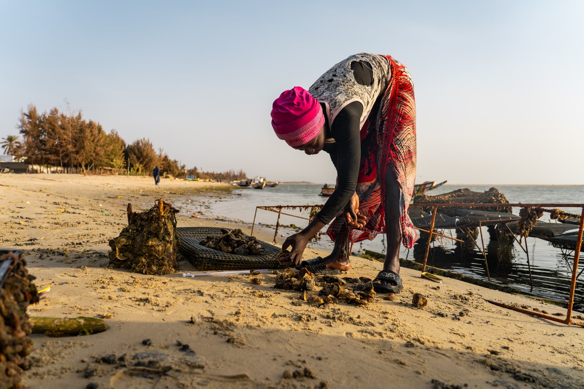 Photo de terrain, programme FISH4ACP