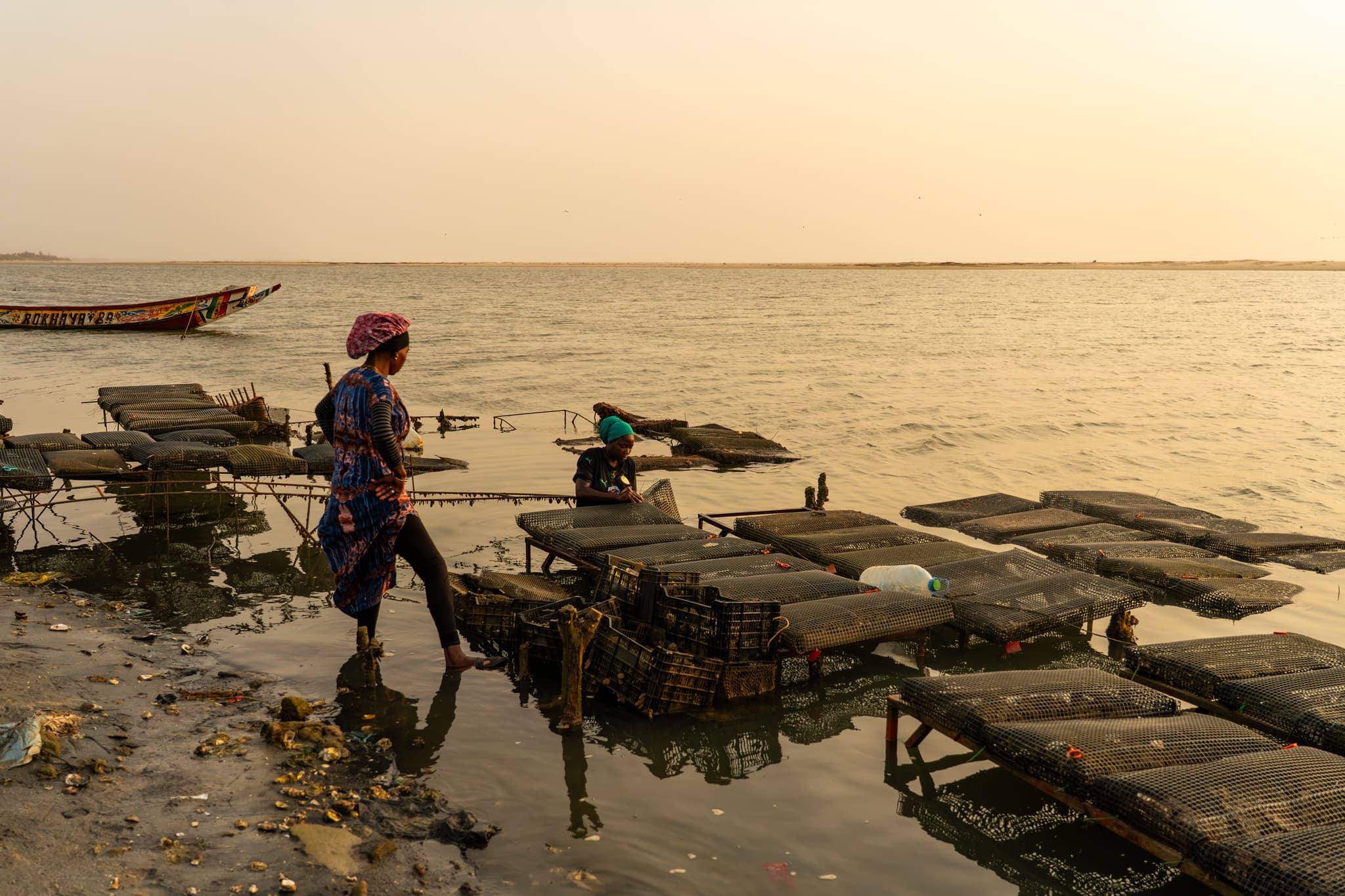 Photo de terrain, programme FISH4ACP