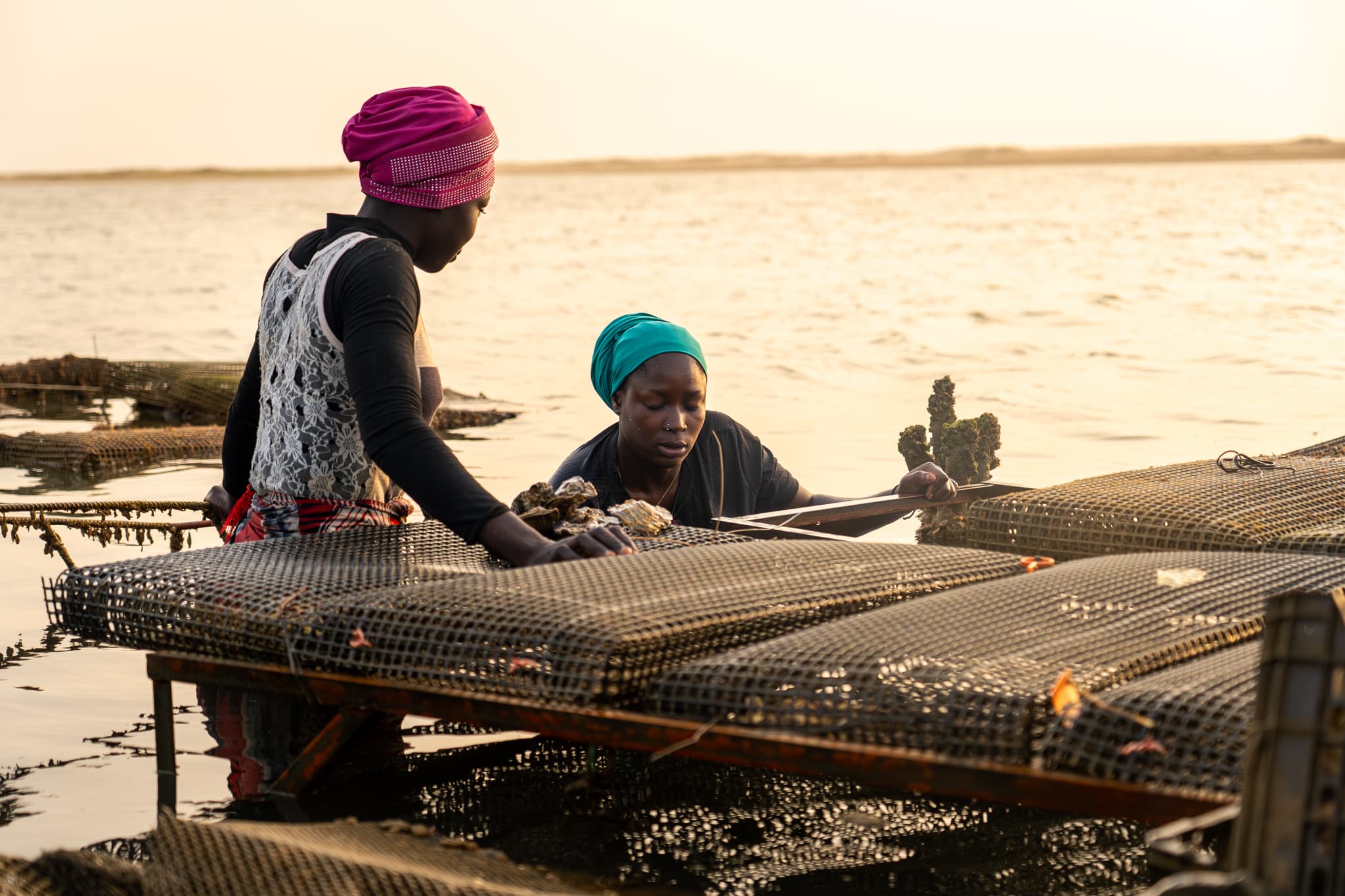 Photo de terrain, programme FISH4ACP