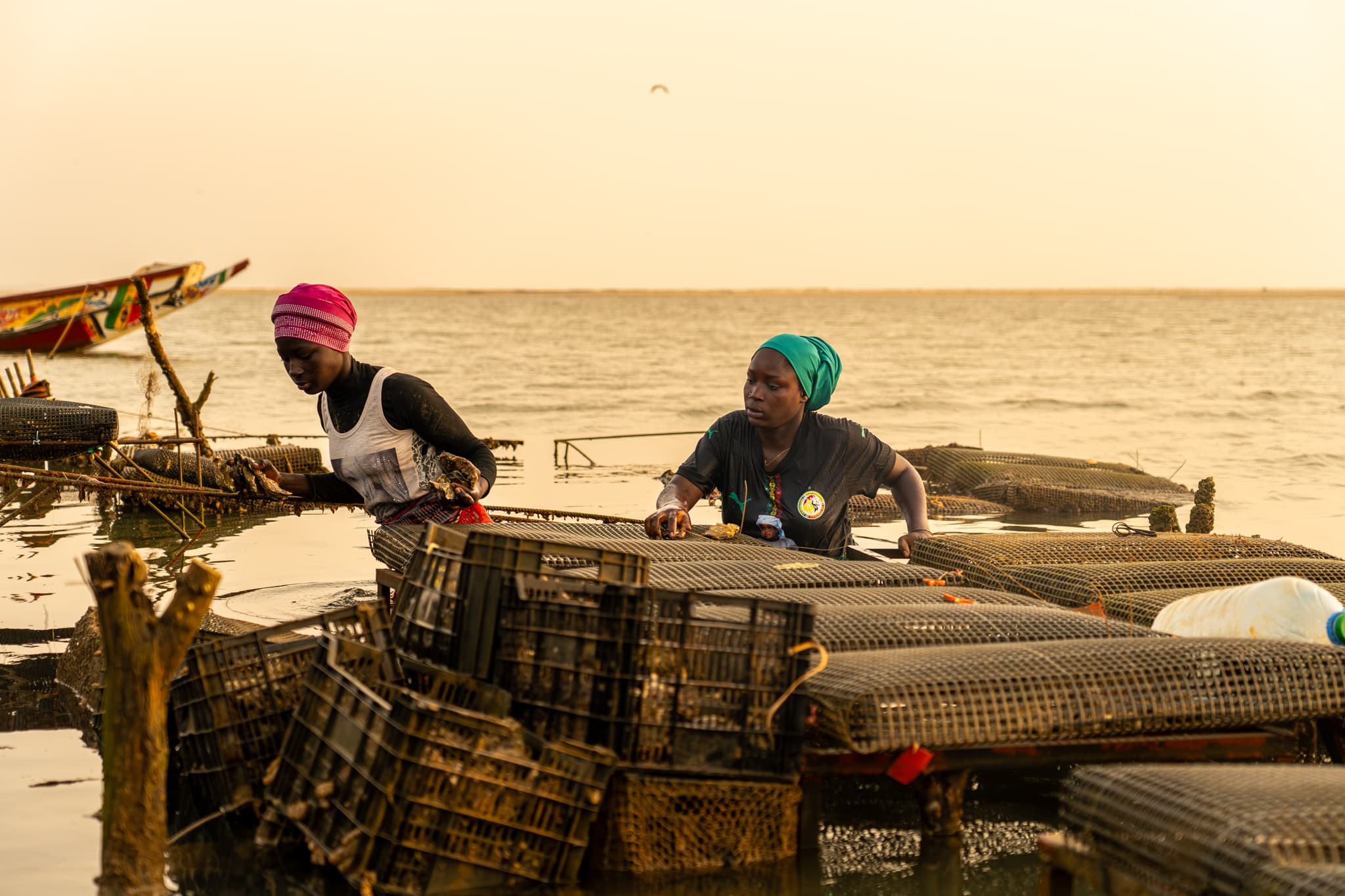 Photo de terrain, programme FISH4ACP