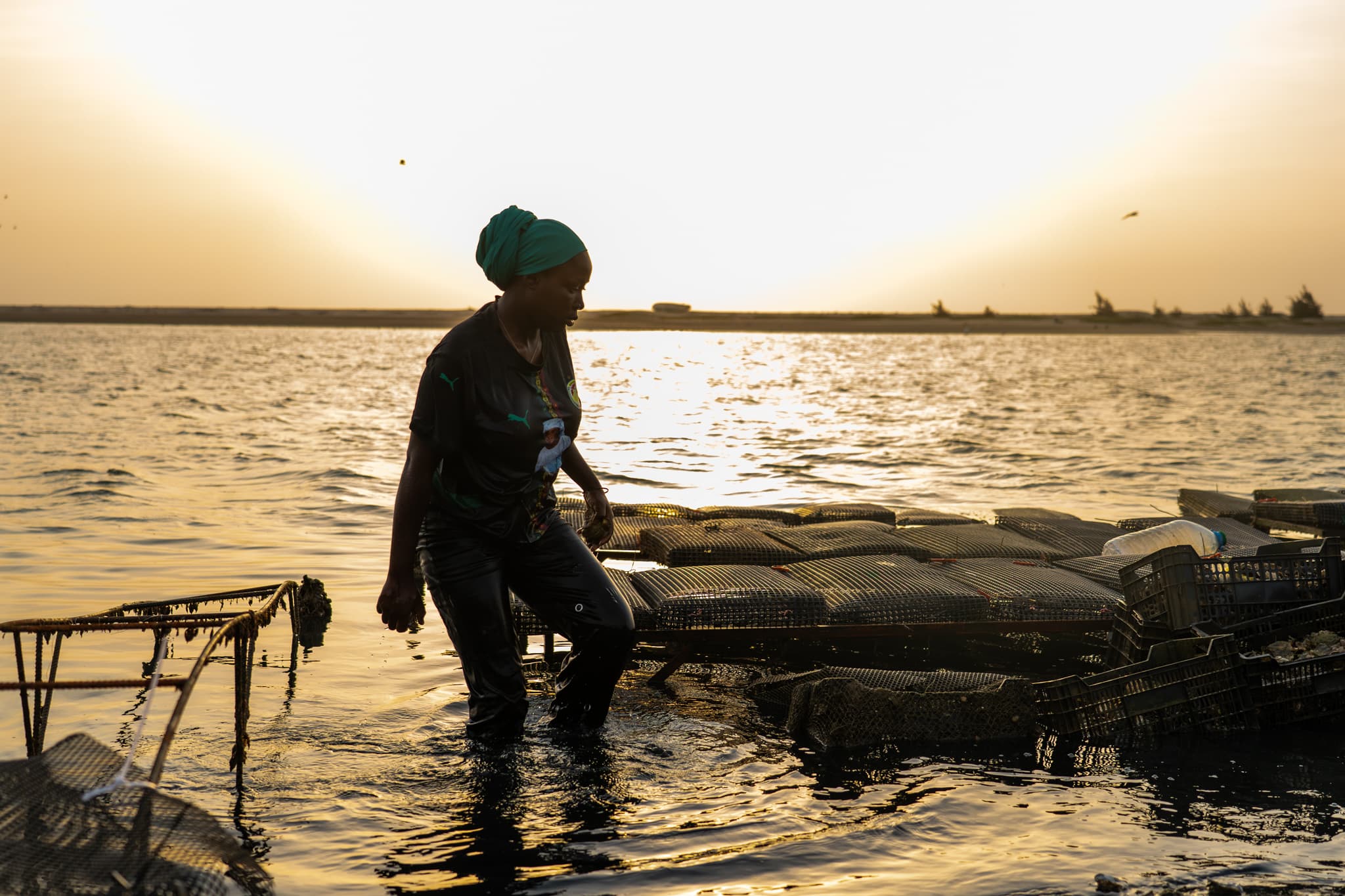 Photo de terrain, programme FISH4ACP