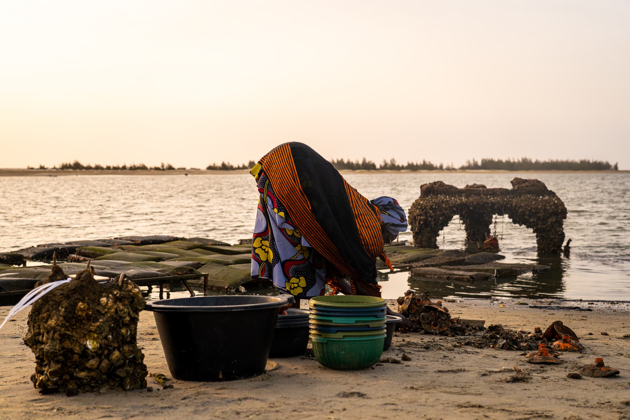 Photo de terrain, programme FISH4ACP