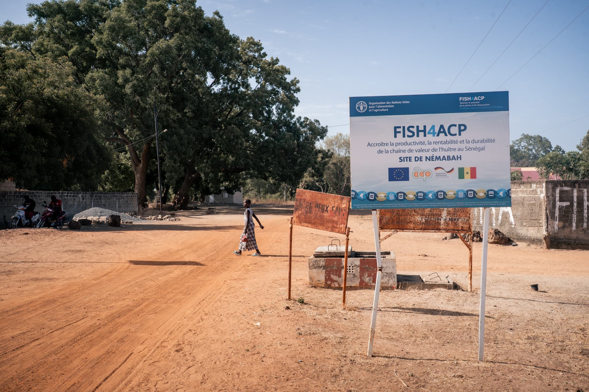 Photo de terrain, programme FISH4ACP