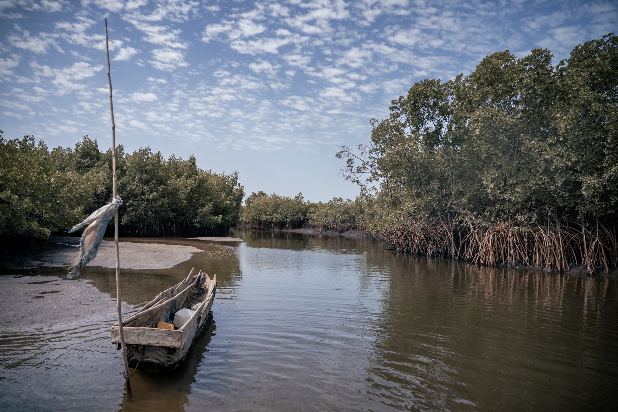 Photo de terrain, programme FISH4ACP