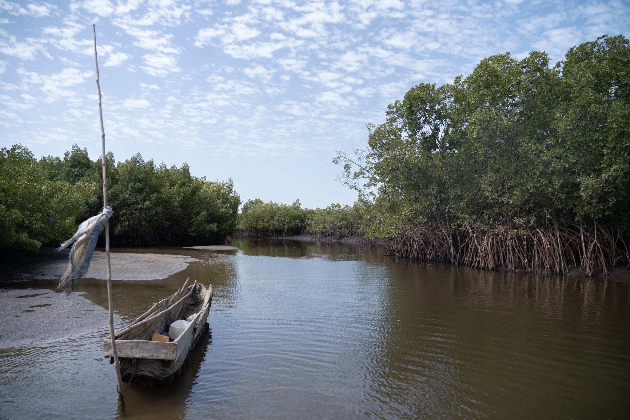 Photo de terrain, programme FISH4ACP