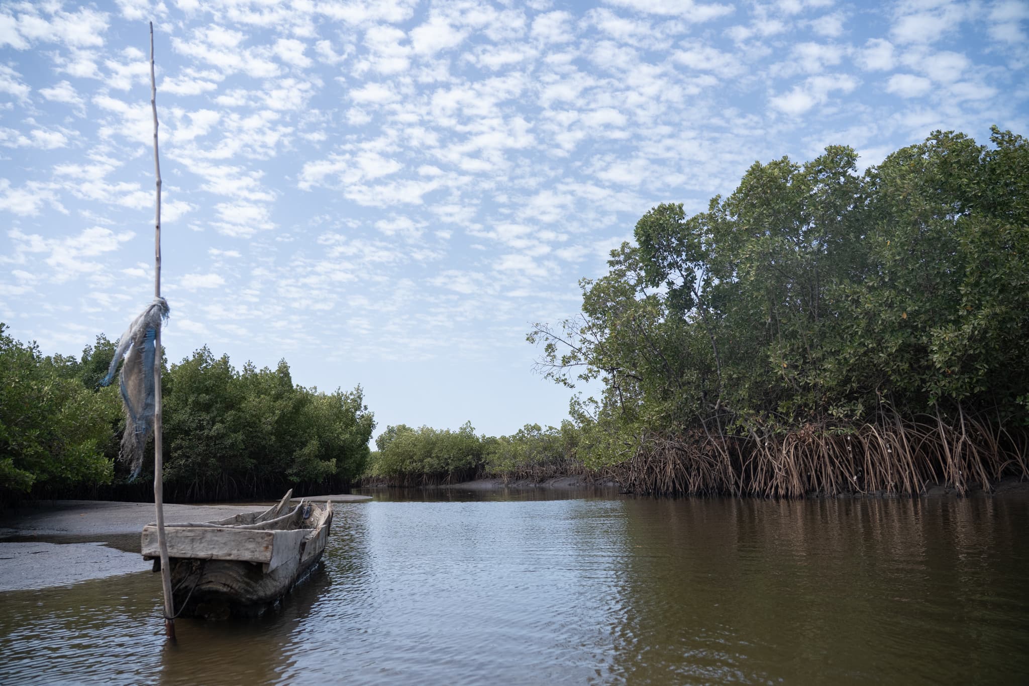 Photo de terrain, programme FISH4ACP