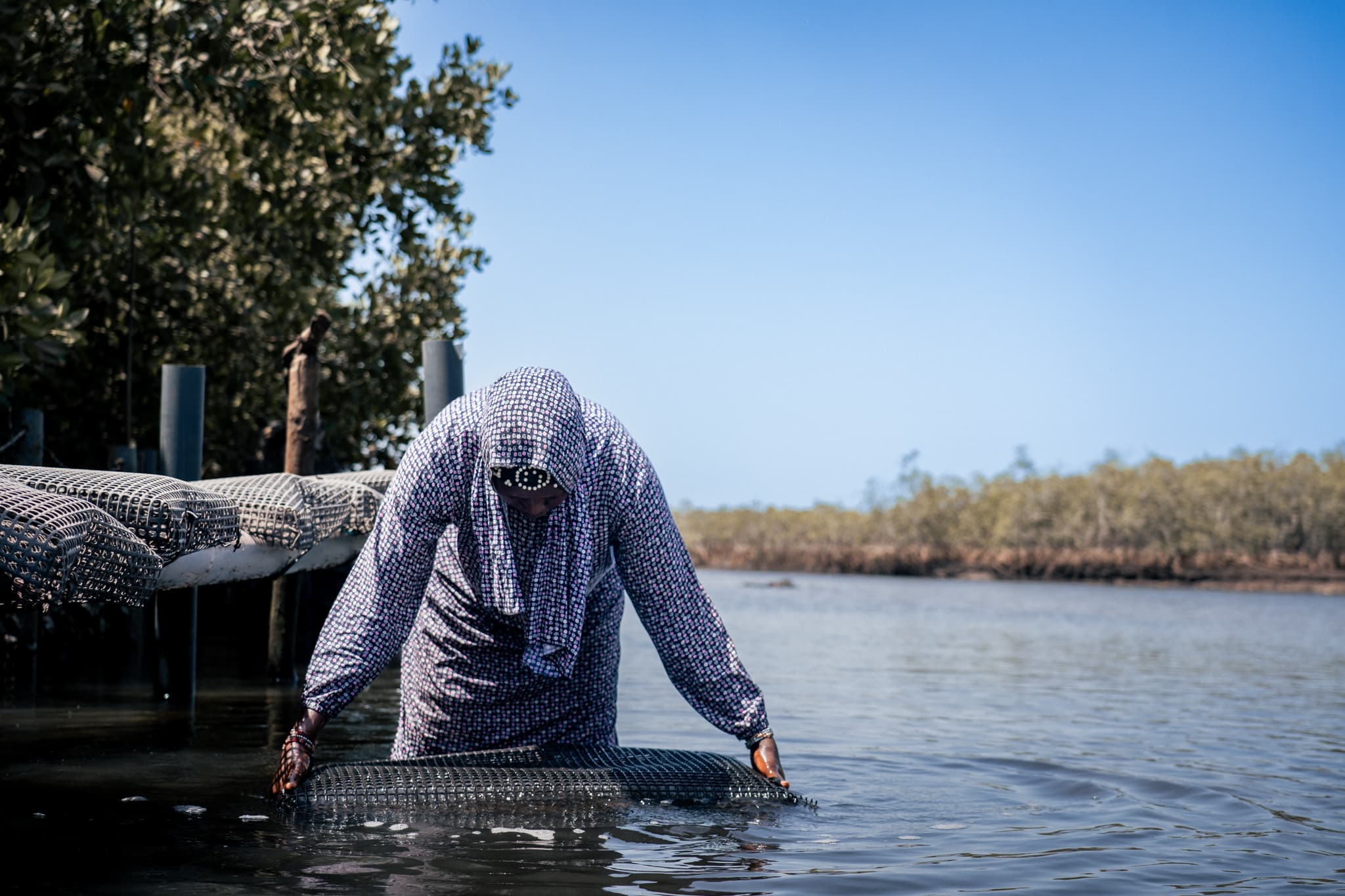 Photo de terrain, programme FISH4ACP