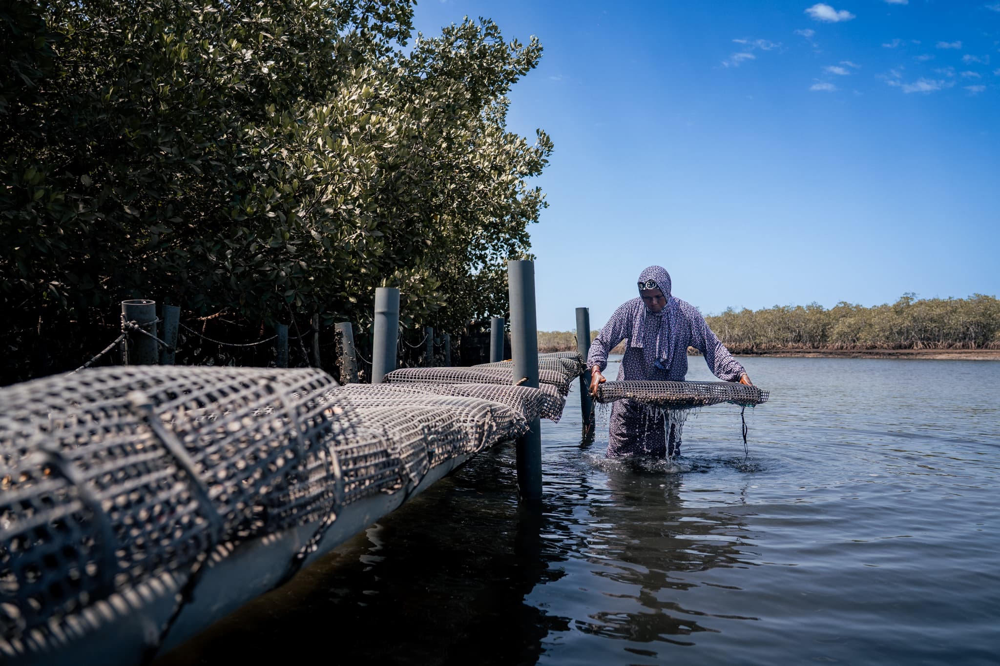 Photo de terrain, programme FISH4ACP