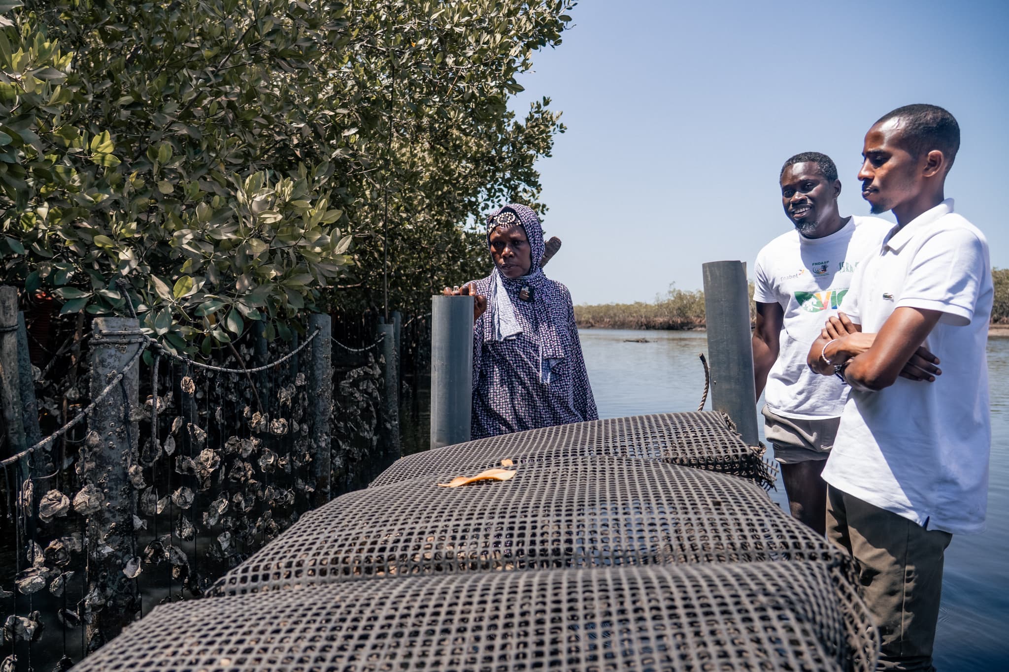 Photo de terrain, programme FISH4ACP